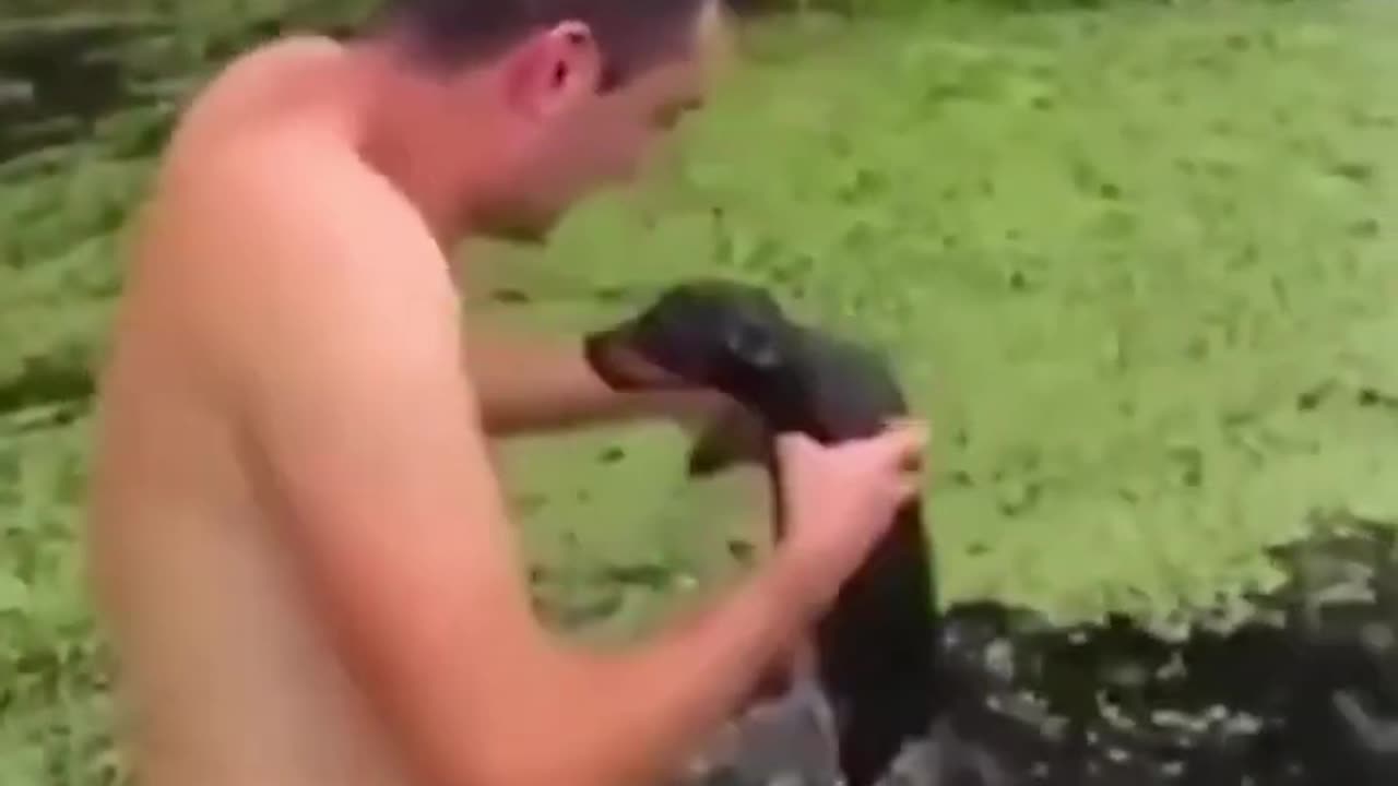#07 Hilarious Pet Hijinks: Viral Laughter with Adorable Furry Comedians! πΎπ