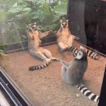 What is going on here? 😂