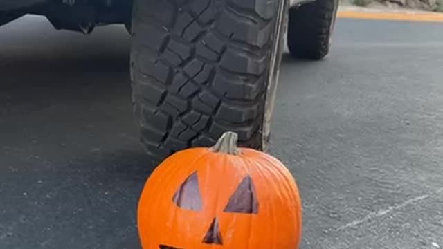 IT WENT EVERYWHERE!