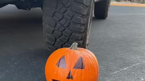 IT WENT EVERYWHERE!