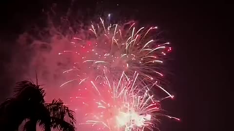 Gorgeous fireworks