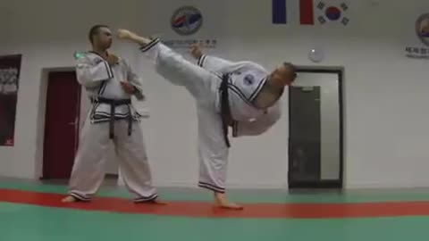 Jin Jung Kwan Hapkido