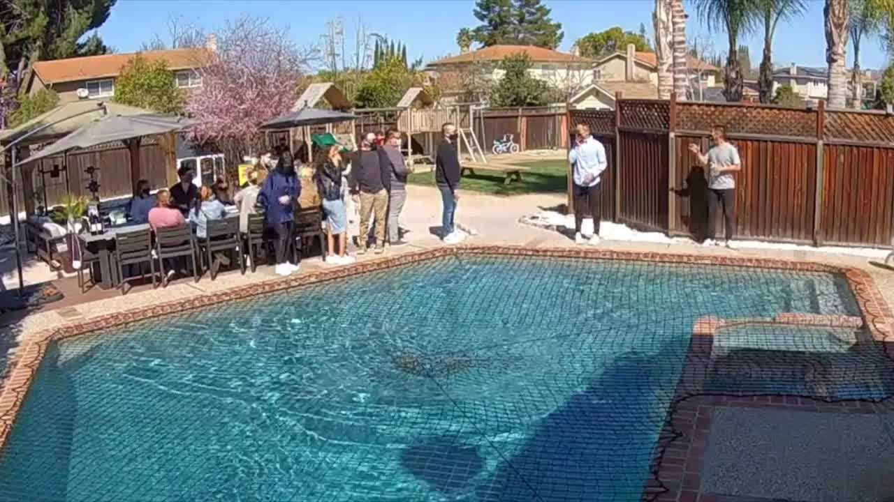 Dog Amazes People By Running Over Pool