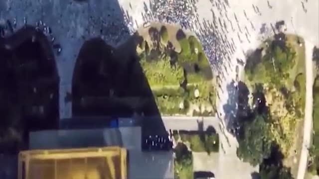 Tiger go to elevator high rise buildingš¢ with bey