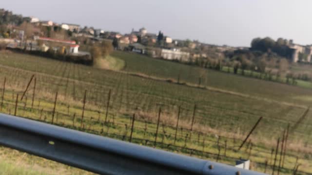 Landscape in the fields of Wine.