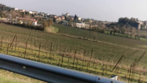 Landscape in the fields of Wine.