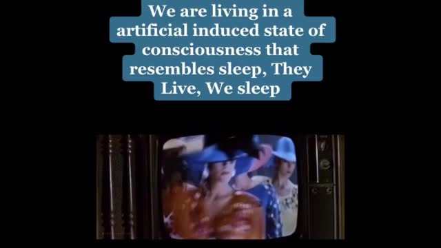 We are living in a artificial induced state of consciousness that resembles sleep