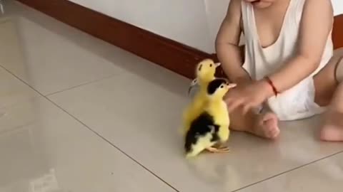 Kid with ducklings