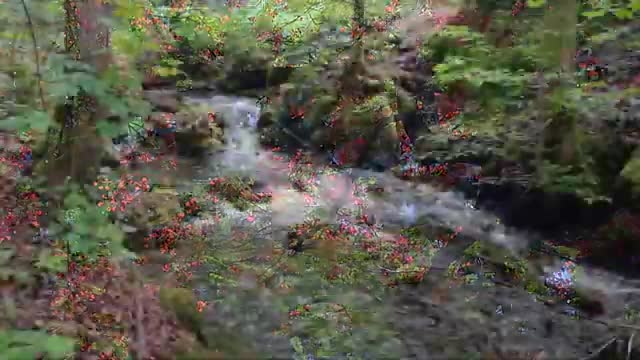 Calm Ambient Music for Study Concentration and Relaxation