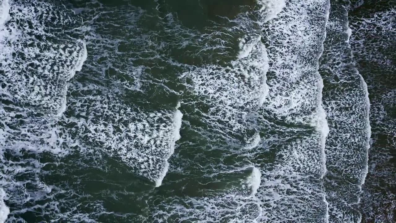The beautiful sound of the living nature/صدای طبیعت