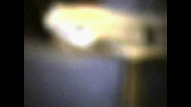 Thanksgiving on McIver 1997