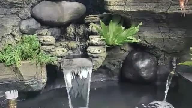 Koi Fish