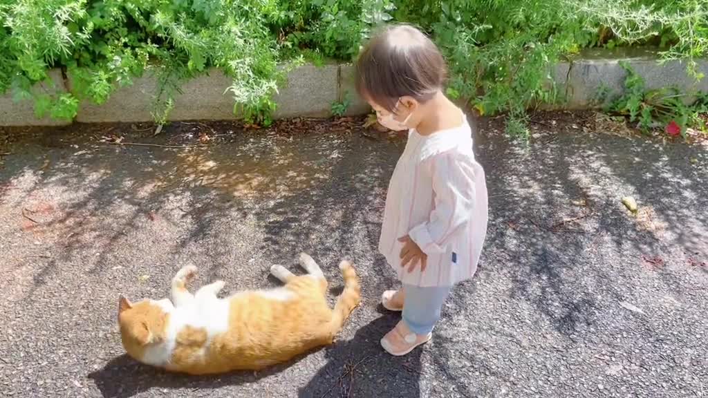 Ha ha, baby met the little cat touching porcelain