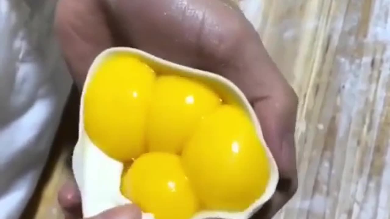 Folding this Egg Dumpling