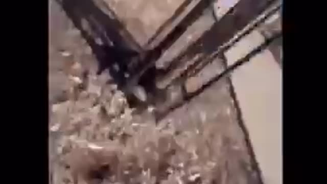 Kid at playground records shootout while running for safety