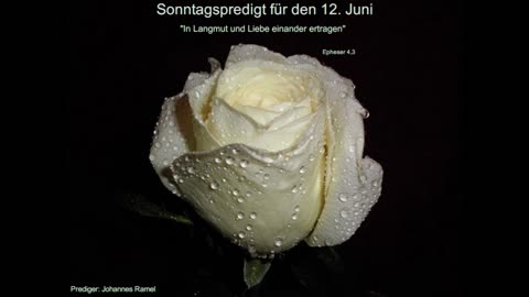 Sonntagspredigt für den 12. Juni