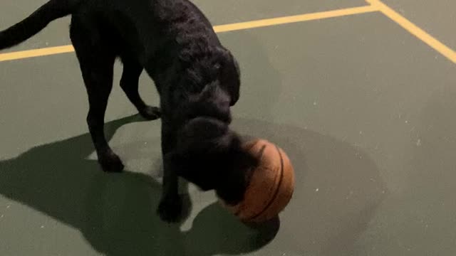 My Puppy lady Peppermint part2