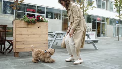 Dog Jumping Towards Her Master!