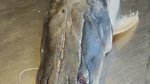 Big Ayer Fish Live Video In Fish Market#shorts