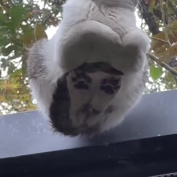 What the heck 🤣😂🤣