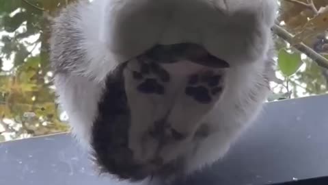 What the heck 🤣😂🤣