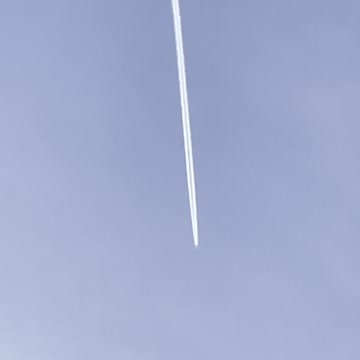 Busy bugger round here