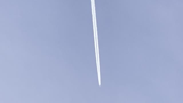 Busy bugger round here