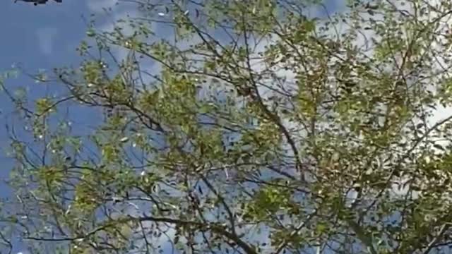 F-16’s landing at Luke AFB