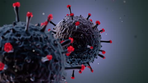 Animation Of The Coronavirus