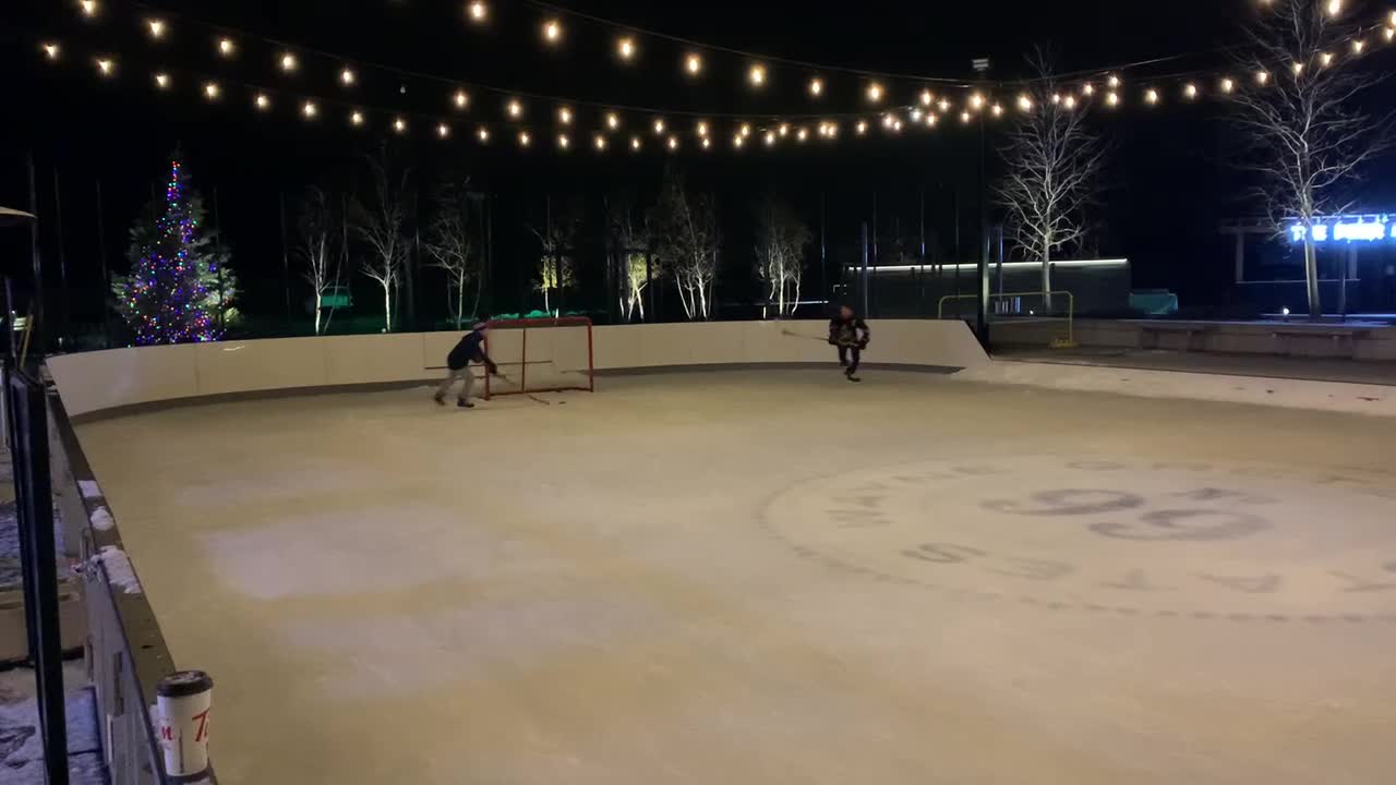 Shinny hockey at Wayne Gretzky’s Estate Winery