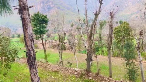 Green Land beautiful View and beautiful Place in the world