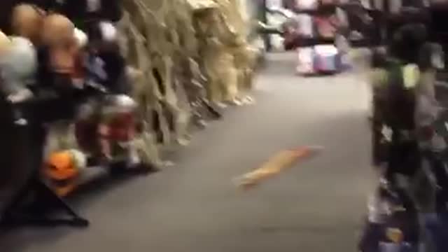 Toy arm is thrown in a halloween shop and person in mask pops up