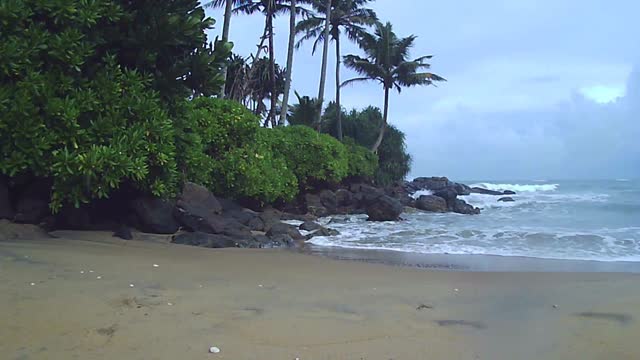 Rain On The Beach | Relax Moment | Sleep |