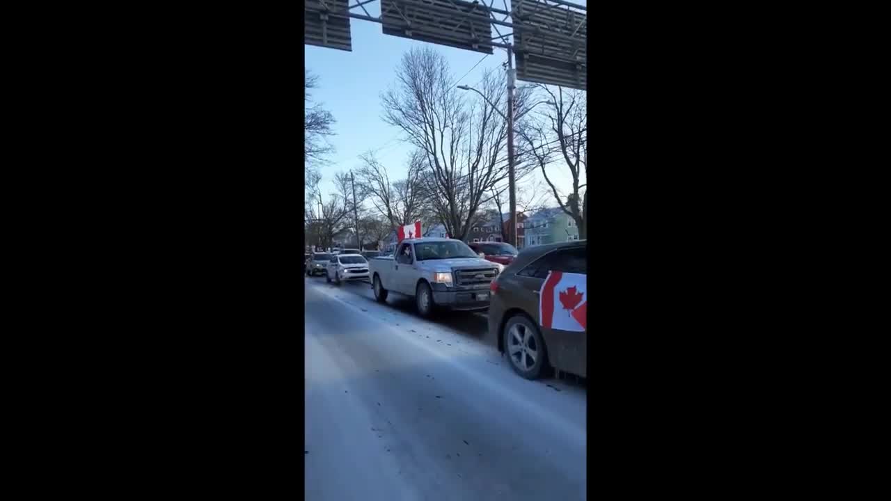 Halifax Freedom Convoy. Listen to the honking sing!