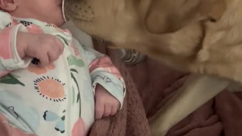 You Won’t Believe What This Baby Did! 🍼🤣💖 (Cutest Moment Ever!)