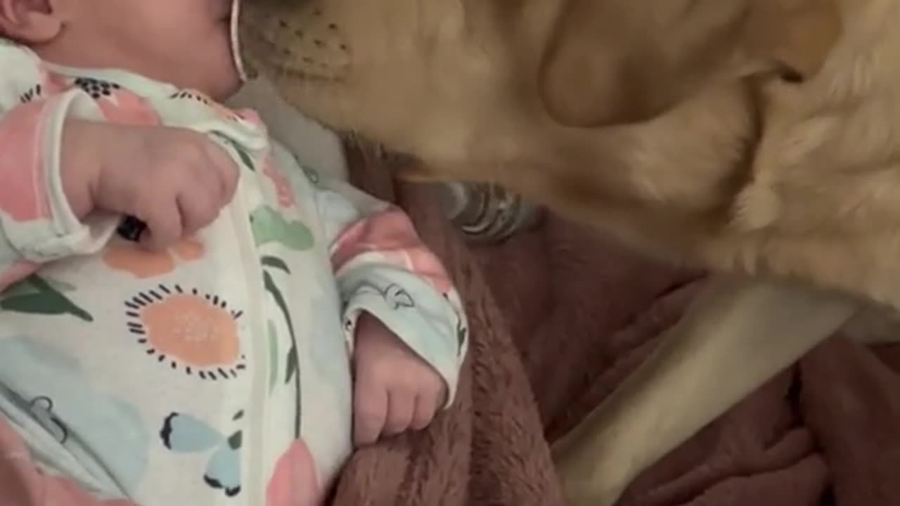 You Won’t Believe What This Baby Did! 🍼🤣💖 (Cutest Moment Ever!)