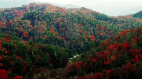 CRYPTID HUNTING THE ALLEGED BIGFOOT CAVE SYSTEM IN EAST TENNESSEE