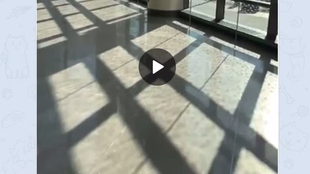 Where are all the SICK PEOPLE?