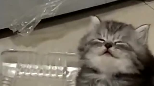 So cute