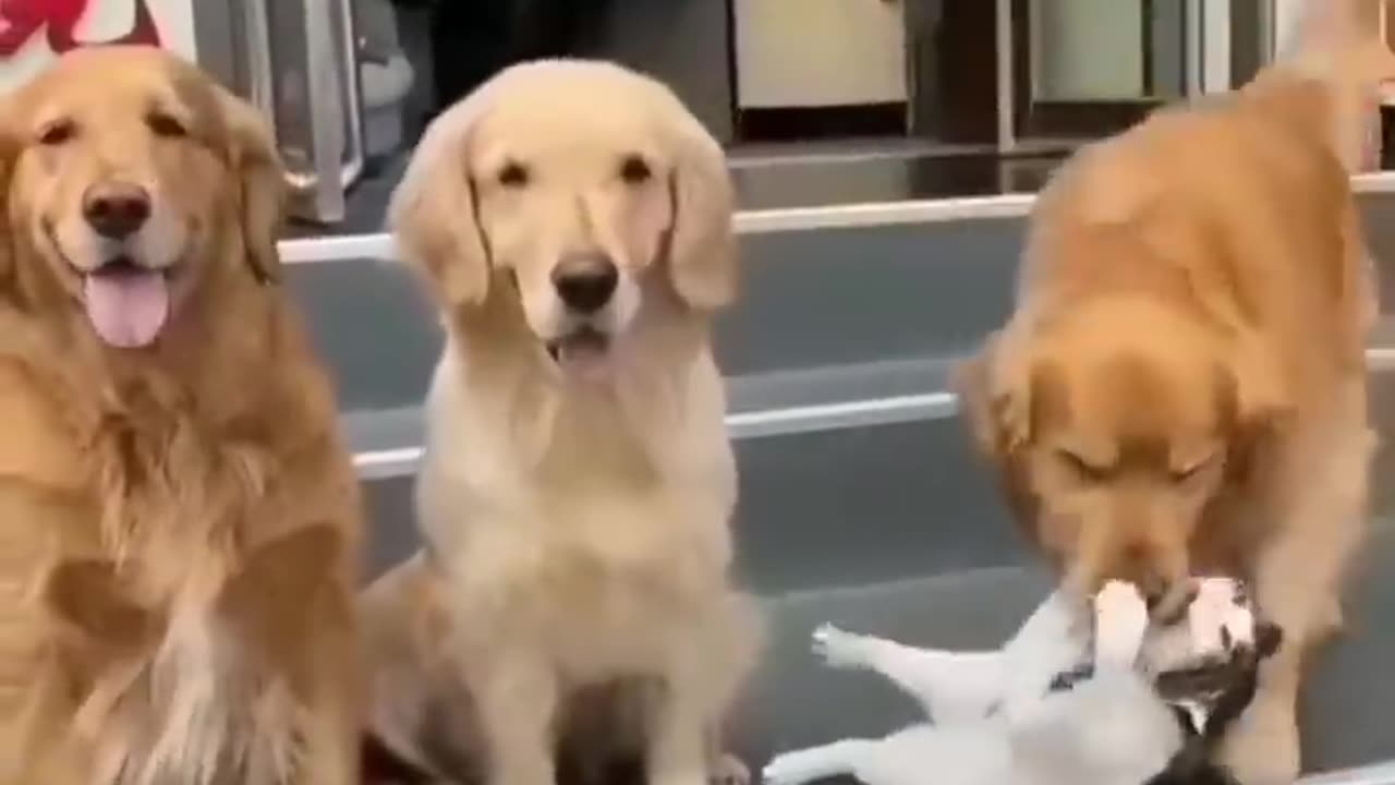 Unlikely friendship