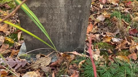 MOSSY SPRINS CEMETERY UNION COUNTY TN