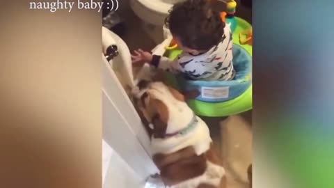 Dogs are the best friend of Babies 45