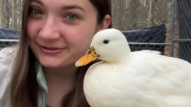 Personally I like to spend as much time with ducks as possible🦆💗