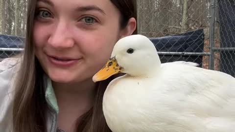 Personally I like to spend as much time with ducks as possible🦆💗