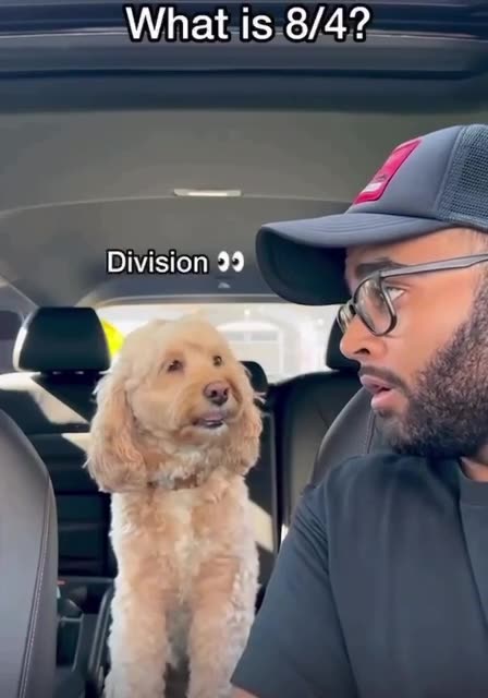 How cute: Animals are amazing