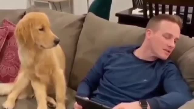 I think dad is broken | Funny Dog