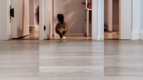 very mile beast