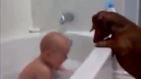 funny dog with baby