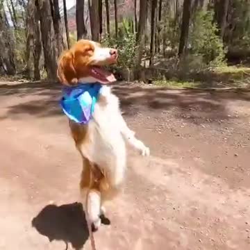 Run, come with me ! Oscar