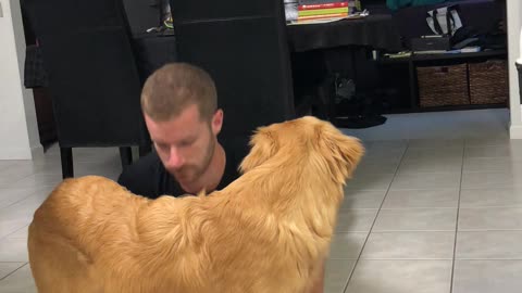 Playful Pooch is Not Interested in Doing Downward Dog